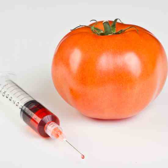 
GMOs are crops and animals genetically altered by biotech companies seeking to add desirable traits. GMOs are controversial because many people are concerned that the long-term health and environmental effects of genetic engineering (GE) are unknown.
